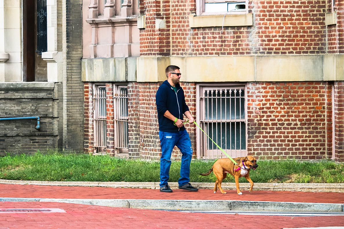 Man walking his dog in Logan Circle, Washington, D.C.
