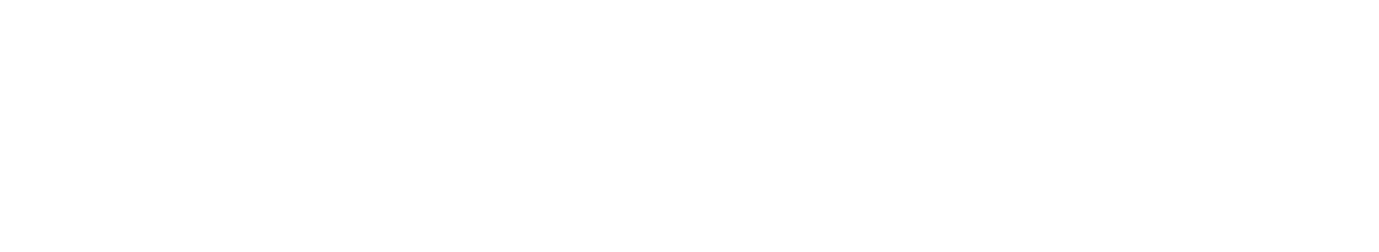Long & Foster Logo
