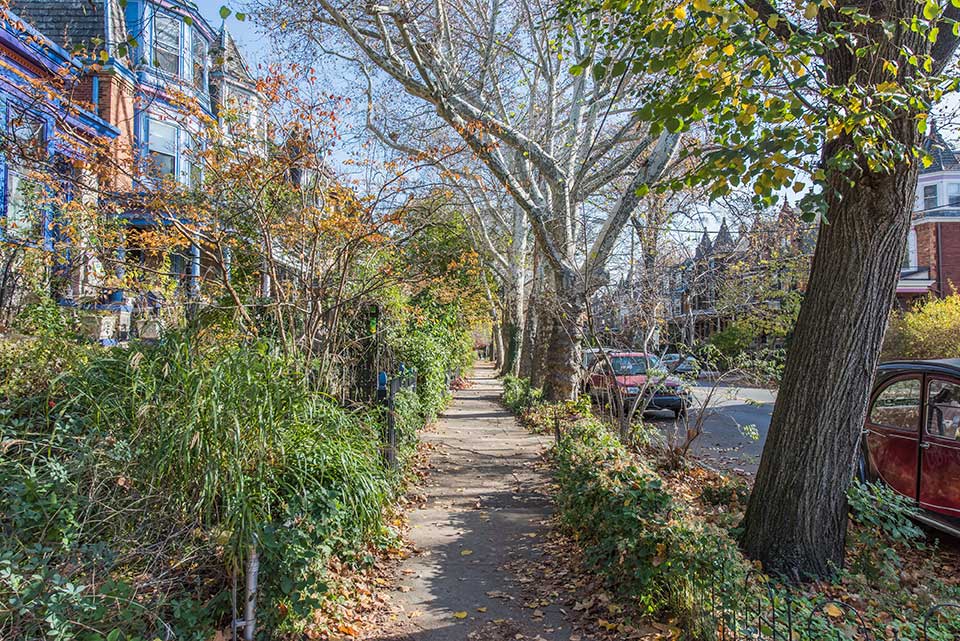 Tree-lined residential street in Cedar Park, Philadelphia, PA