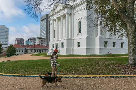 Woman walking dogs in Richmond, VA