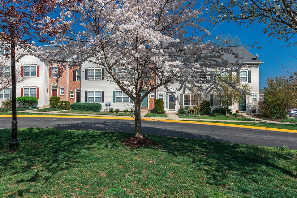 Townhomes in Prince Frederick, MD