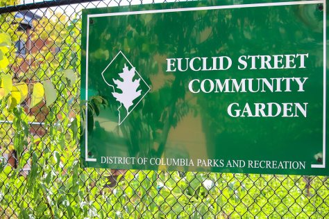 Euclid Street Community Garden in Columbia Heights, Washington, DC