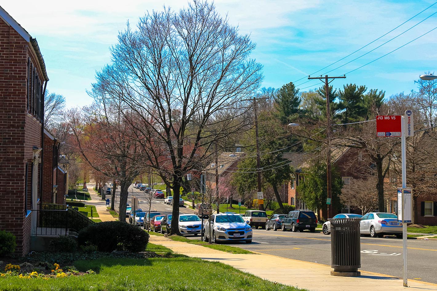 Residential street view in Hillcrest, Washington, D.C.